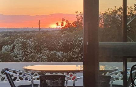 Casa Palmeria , Quinta da Saudade - Foto 27