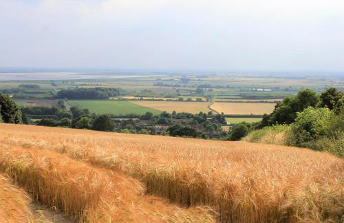 Pond View Cottage - Foto 23