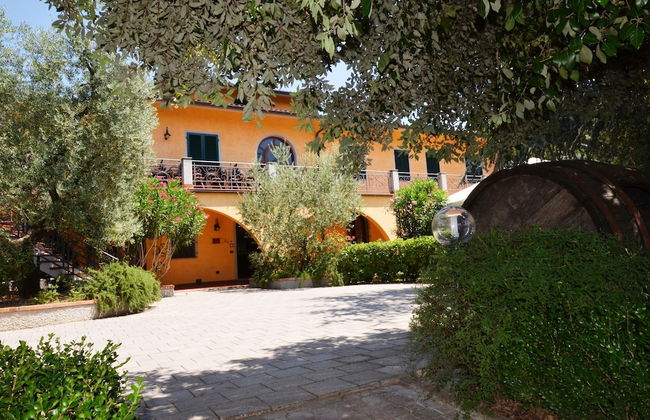 Poggio Degli Olivi - Photo 28