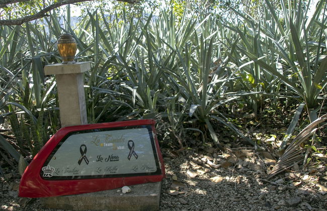 Villas Cabuya Beach & Forest - Foto 75