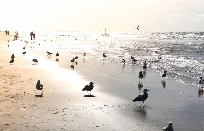 Apartment in Noordwijk Near Beach - Foto 33