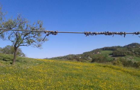 Casa Bruna Appartamenti - Foto 16