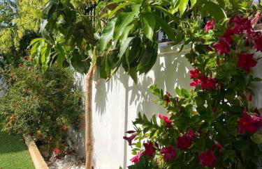 House with a tropical garden - Foto 23