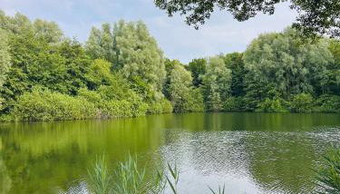 Apartment am See mit Dachterrasse - Foto 2