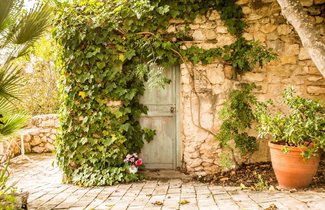 Mas Nur Sitges - Photo 79