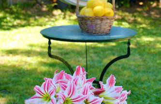 Amarynthos Beachfront Vacation House with garden - Foto 10