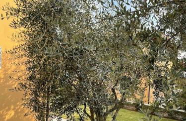 APARTMENTS VALPOLICELLA: RESIDENZA OLIVO - Photo 45