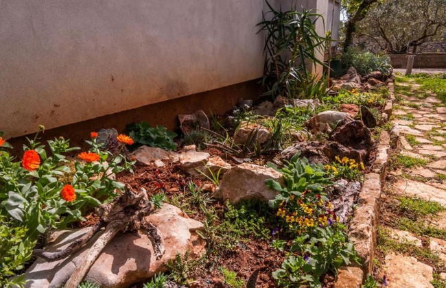 Seaside Oasis Apartments on Island Ugljan - Foto 37