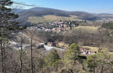 Waldfrieden Ferienhaus mit SAUNA - Foto 18