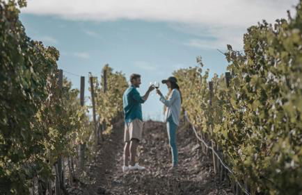 Marina di Scarlino Resort - Photo 33