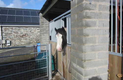 Beautiful Wales - Foto 111