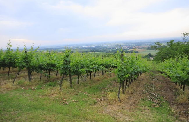 Agriturismo Borgo delle Vigne - Photo 34