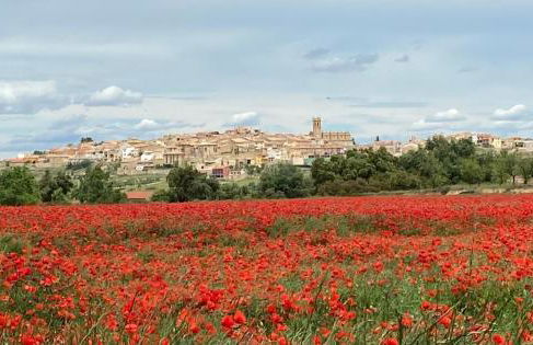 Ruralracons - Foto 25