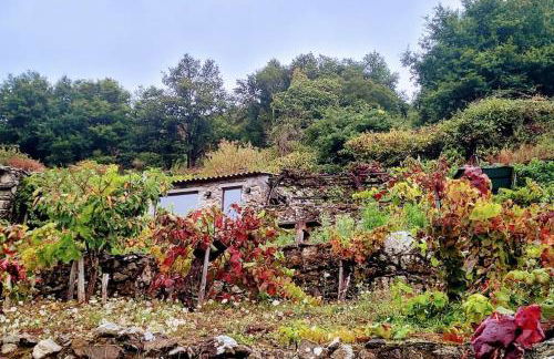 cabaña do rei - Foto 36