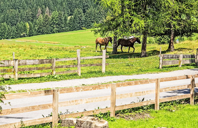 von Capeller - Foto 35