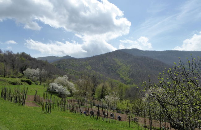 Cottage in Casoli Near Ski Slopes - Foto 24