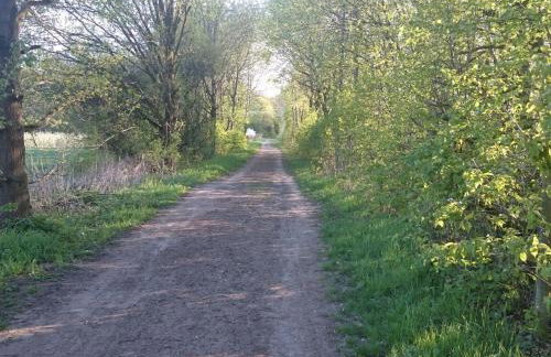 Apartment Apartment Laurence by Interhome - Foto 33