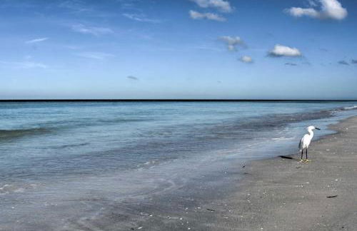 Pool Access and Kayaks Indian Shores Townhome - Foto 35