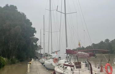 Iberia del Guadalquivir - Photo 43