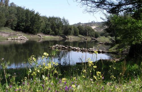 Quinta da Lontra - Foto 16