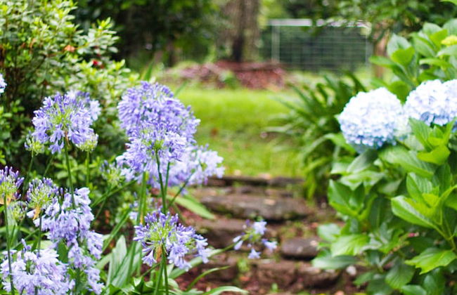 Mt Glorious Getaways - Foto 37