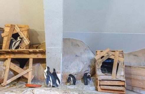 4 Bedroom Gorgeous Home In Bezinghem - Foto 36