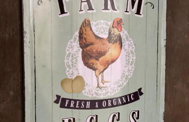 Ferienwohnung Hintermoos - Foto 31