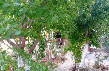 Vasiliki - Foto 28