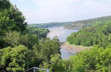 Au gite du bois d'amour - Foto 37