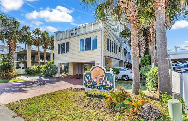 Island palms - Foto 1