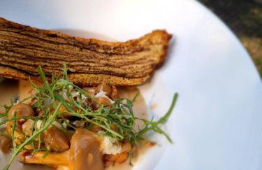 Maciejówka Borki 33 - Foto 32