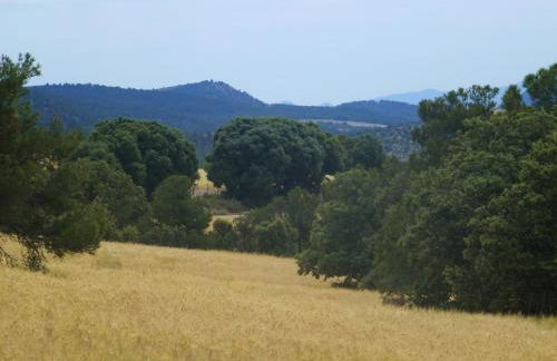 CASERIO INAZARES - CASAS DE MONTAÑA CON CHIMENEA Y NIEVe - Foto 35