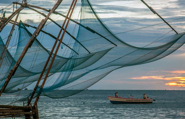 Guided Tour of Kochi - Photo 1