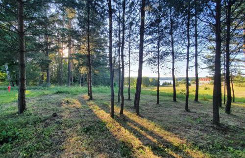 Przytullas - Domki na Mazurach - Foto 28