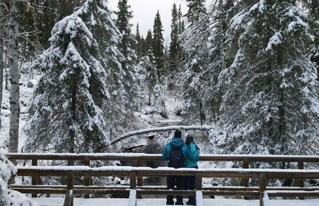 Korouoma Frozen Waterfalls Day Trip - Foto 3