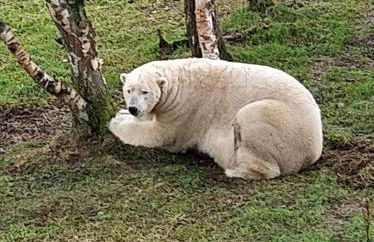 Cluny Mains - Foto 41