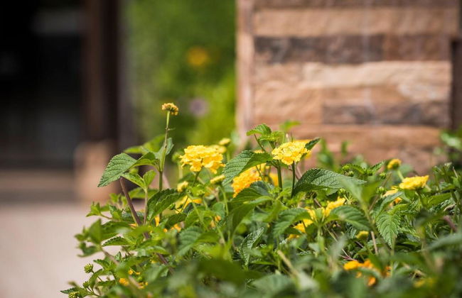 Areti Suites - Foto 16