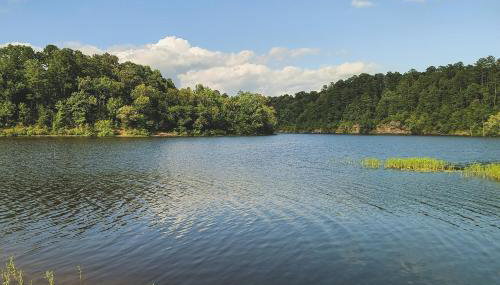 Searcy Vacation Rental w/ Deck & Water Views! - Foto 2
