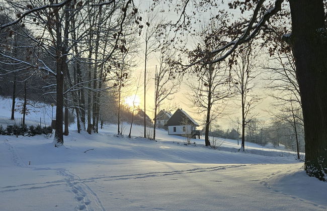 3 bedroom House in Stárkov with swimming pool and garden - Photo 34