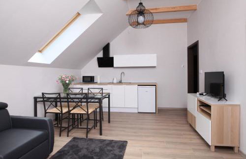 Willa Widokówka Lubawka - Foto 31