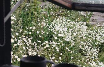 Two unique cabins wrapped in beautiful welsh scenery - Foto 5