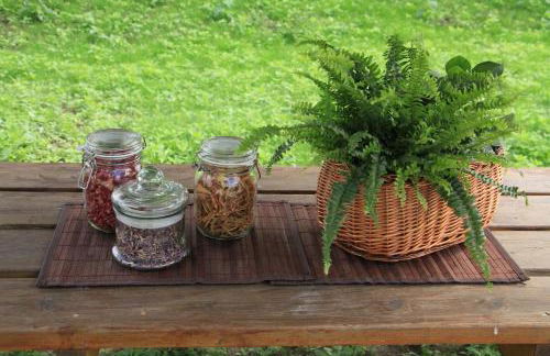 WaldResort - Am Nationalpark Hainich - Foto 55