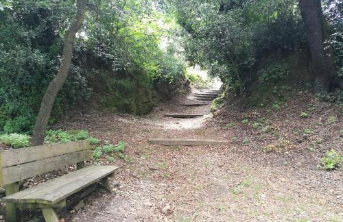 El Paller de Can Puig a la Pera 4/6 pax - Foto 50