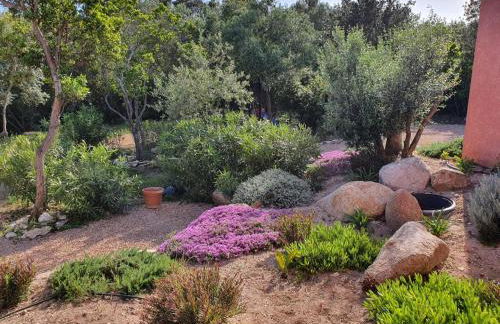 Mini-villas Célia à BONIFACIO - Foto 6