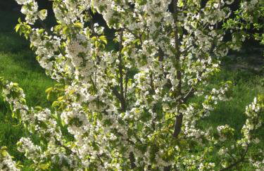 Antonia & Arian - Foto 23