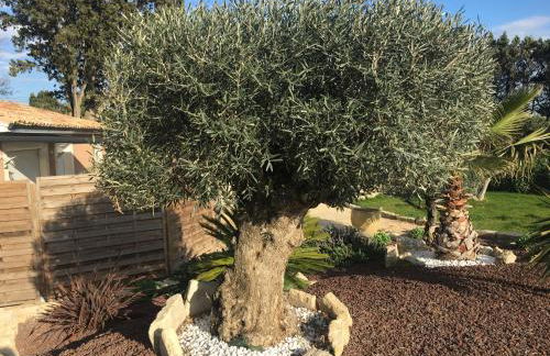 Gîtes Le Mas Guiraud - Foto 44