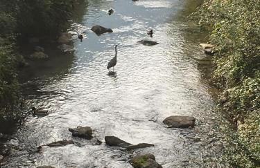 River House - Photo 19