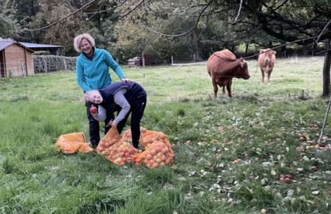 Holiday Home Am Beulskopf - Foto 14