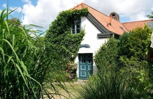 Ferienhaus Alte Schmiede - Foto 3