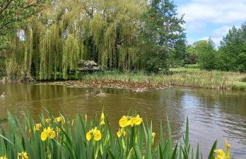 1 Barge Cottage - Foto 35